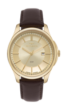 Technos Men's Gold Steel Watch 2115TYH/0X