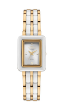Relógio Technos Feminino Analógico Ceramic Sapphire 5Y36AA/1K