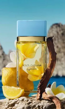 Perfume Dolce & Gabbana Light Blue Eau de Parfum Feminino