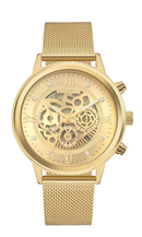 Euro Women's Big Case Skeleton Gold Watch EUJS25AM/4D